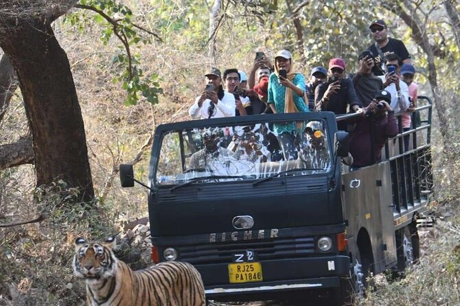 Ranthambore Canter Safari