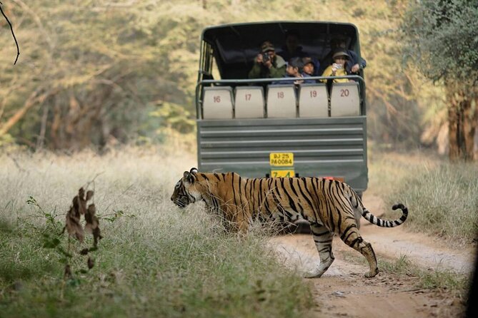 Ranthambore Canter Safari