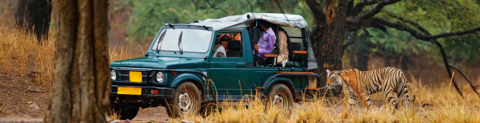 Ranthambore Jeep Safari
