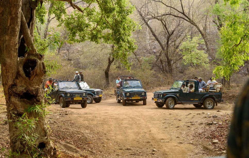Ranthambore National Park